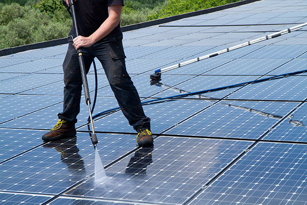 Macaw | Solar Panel Cleaning