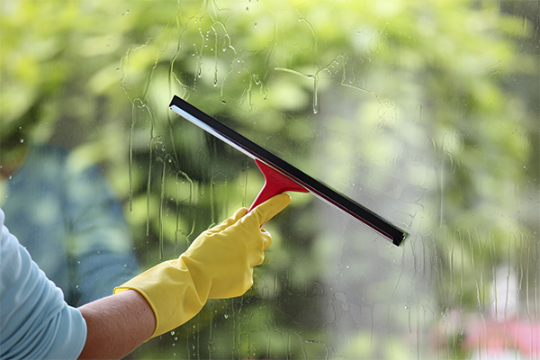 Domestic Window Cleaning